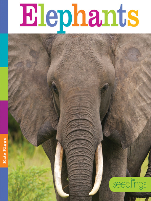 Title details for Elephants by Kate Riggs - Available